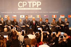 bo cong thuong se la co quan dau moi trien khai hiep dinh cptpp