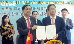 con sot visa va cau chuyen vi sao han quocuu ai viet nam
