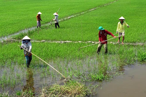 nuoc ve dbscl khong phai do trung quoc xa dap