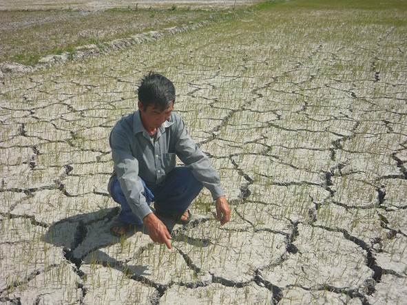 thu tuong vua chu dong thich nghi vua ung pho hieu qua bien doi khi hau