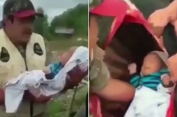 het hon tap tuc bo tre so sinh vao bung dong vat chet de cau may