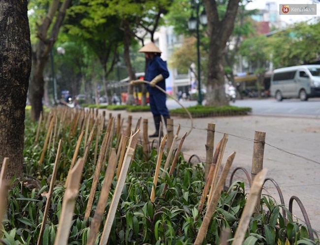 ha noi cam chong nhon hoat trong vuon hoa o nha hat lon de ngan cho