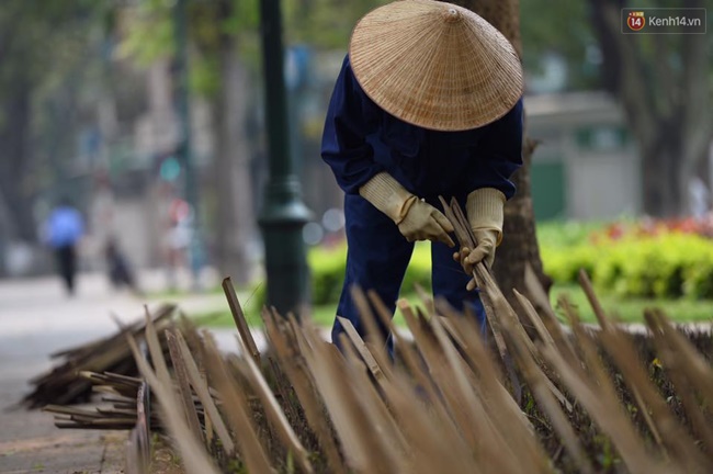 ha noi cam chong nhon hoat trong vuon hoa o nha hat lon de ngan cho