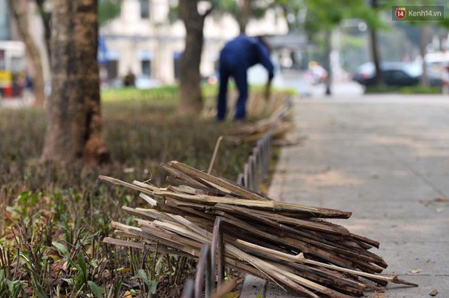 ha noi cam chong nhon hoat trong vuon hoa o nha hat lon de ngan cho