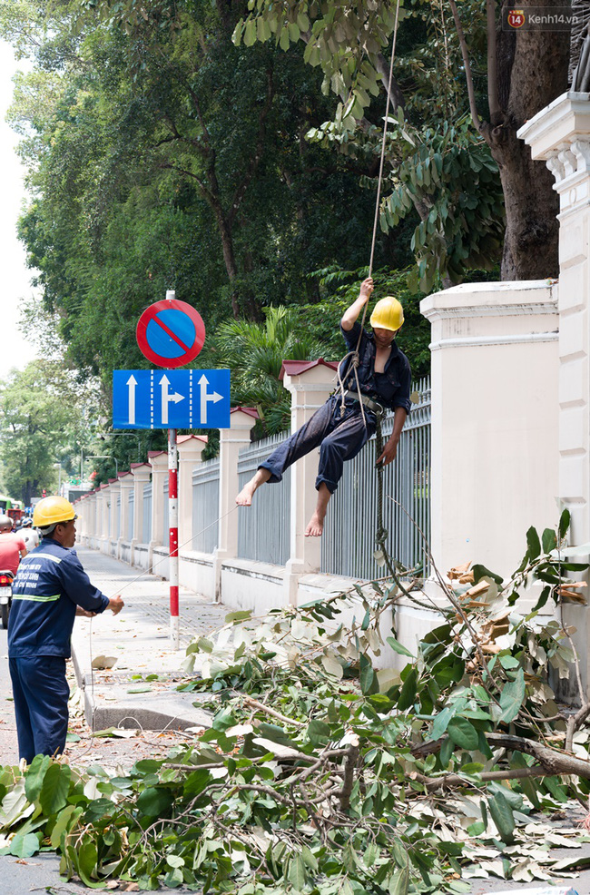 chum anh nguoi dan lao dong o sai gon vat lon duoi nang nong oi buc de muu sinh