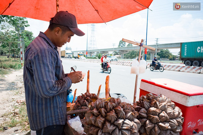 chum anh nguoi dan lao dong o sai gon vat lon duoi nang nong oi buc de muu sinh
