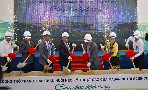 du an nuoi lon 1000 ty dong cua masan bi dung thi cong