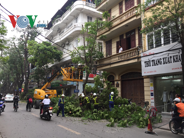 ha noi cat sua hon 10000 cay xanh truoc mua mua bao 2017