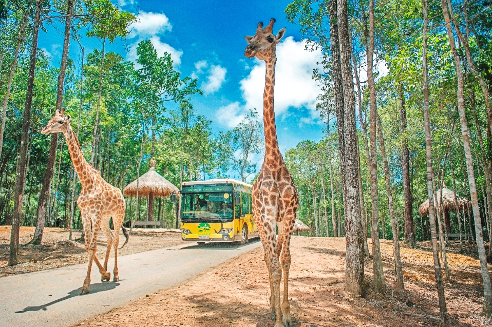 tan huong quyen nang mua he tai vinpearl land