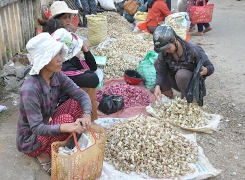 khan hiem hang toi ly son doi gia gan 14 trieu dongkg