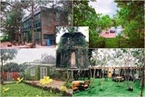 hoc sinh my homestay viet khi dat la la nha