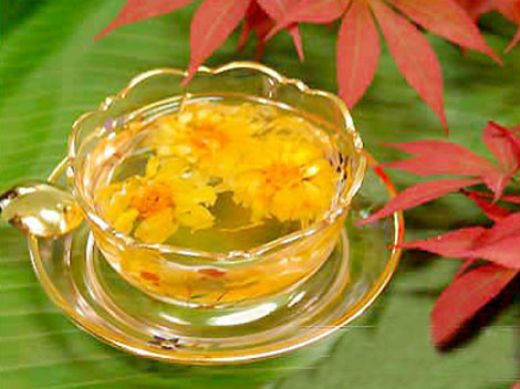 hoa cuc vang chua mat ngu huyet ap cao hoa mat chong mat