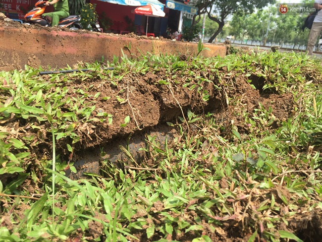 ho ga no nhu bom tren duong truong sa nhieu nguoi hoang so thao chay