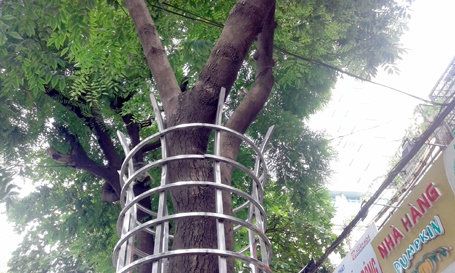 ha noi chuye n nhie u cay sua quy phuc vu thi cong nha ga tuyen metro nhon