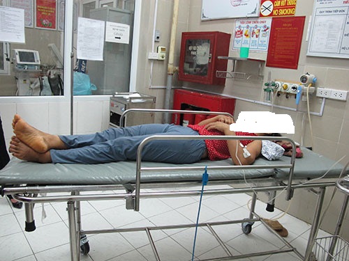 canh bao dang mua cua benh dai nhung chua co thuoc dac tri