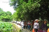 Nhiều hoạt động kỷ niệm 128 năm Ngày sinh Chủ tịch Hồ Chí Minh