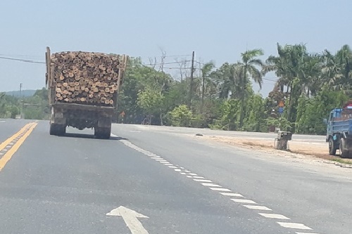 tuyen tranh tphue gong minh ganh xe qua tai