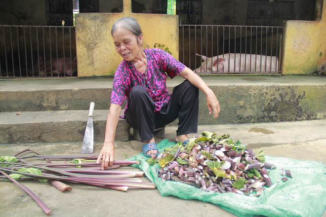 tam su cua ba lao bi tieu thuong dan mat doa vut thit lon xuong ao vi dam mo lon nha dem ban