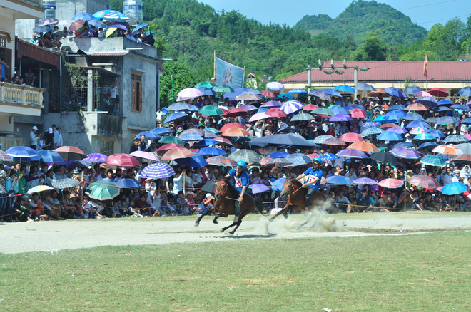 bat chap cai nong 40 do c hang nghin nguoi dan doi nang xem dua ngua o bac ha