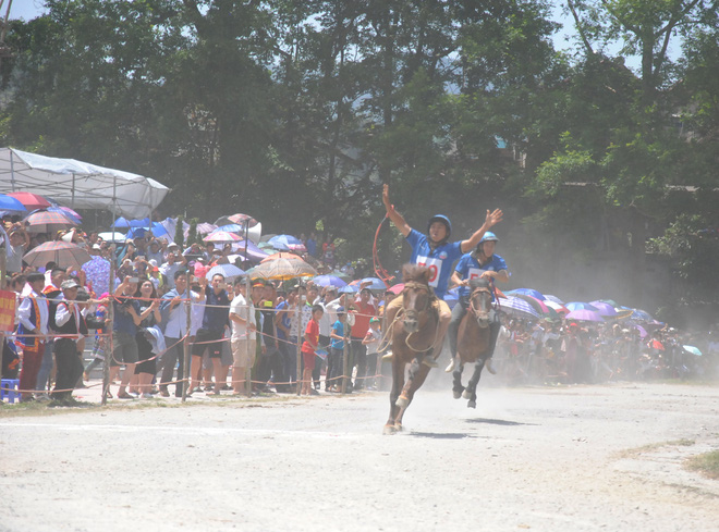 bat chap cai nong 40 do c hang nghin nguoi dan doi nang xem dua ngua o bac ha