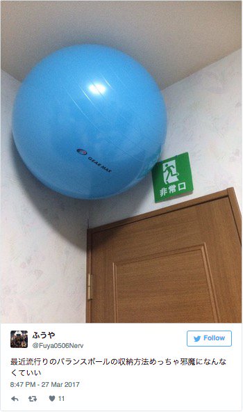 bi mat qua bong lo lung tren tran nha nguoi nhat bao dam khien ban kinh ngac gat gu khen ho thong minh