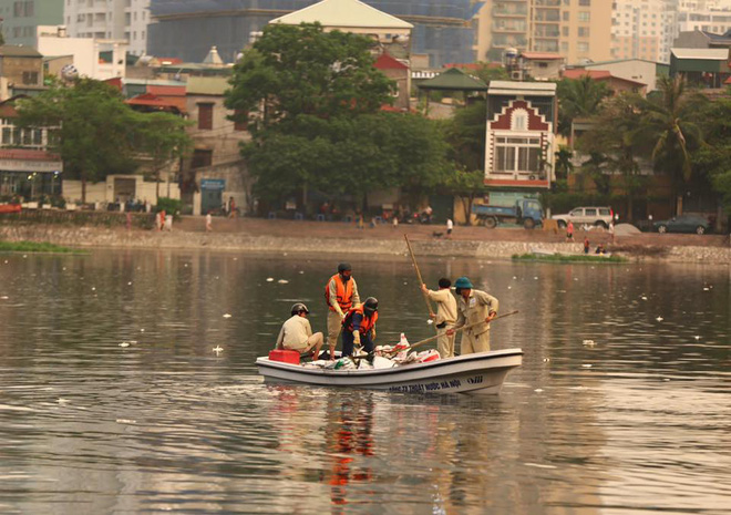 ha noi dung 1 nam sau su co ca lai chet noi trang mat ho hoang cau