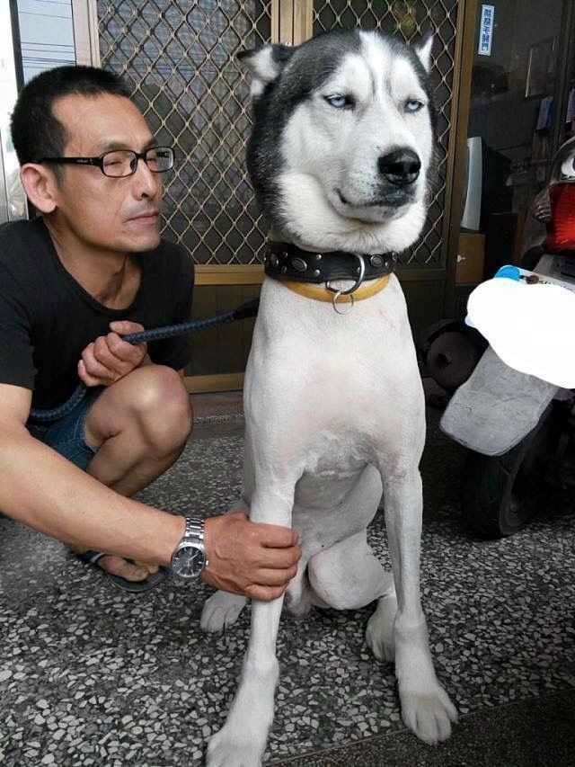 thang no voi con sen du cac boss cao long mot ty cho mat va day la cai ty cua chung no