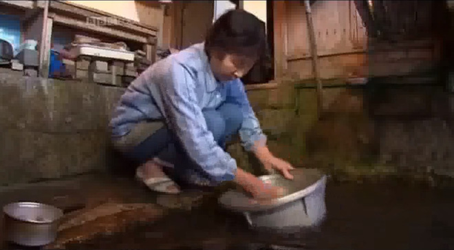 o nhat nguoi ta co the rua bat rua rau ngay o ho ca trong nha bi quyet la nho