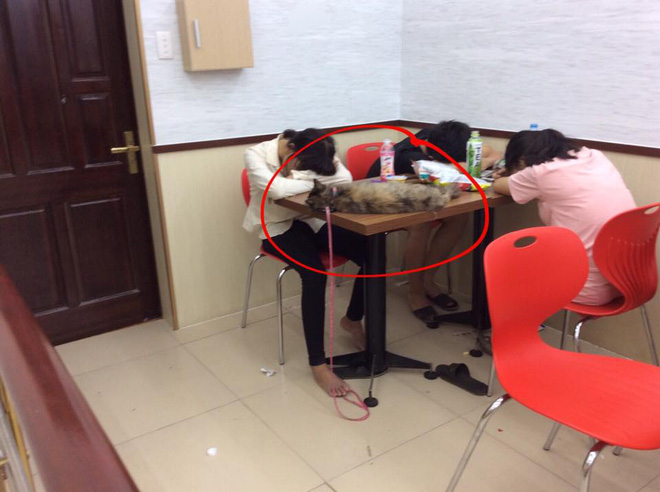 ngao ngan canh sinh vien om chan goi theo de ngu xa rac bua bai trong cac cua hang tien loi
