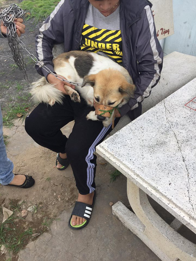 chu cho dang thuong bi chu hanh ha duoc nhom ban tre cuu thoat voi 13 trieu tien chuoc