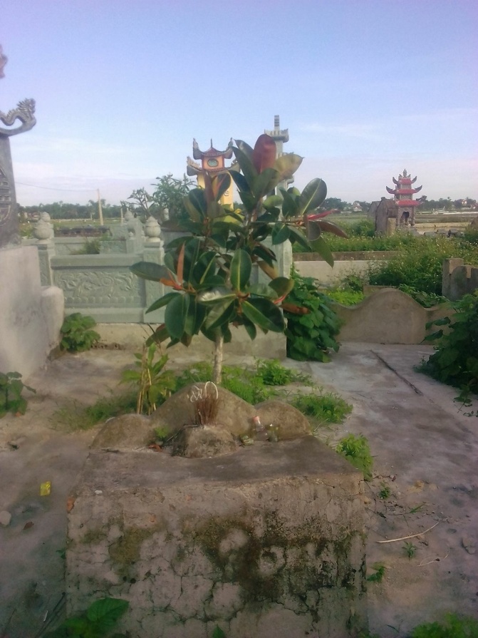 bai 2 bi an chuyen quanh mo cong chua cam vinh truong