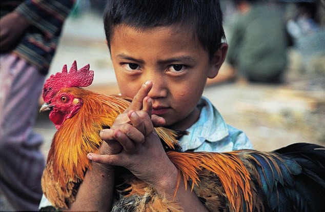 tai sao cach xoa doi giam ngheo cua viet nam lai hieu qua hon ca viec tang ga cua bill gates