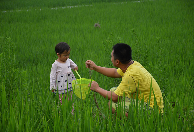 biet con gai chang con song duoc bao lau ong bo tre nuot nuoc mat tu tay dao mo cho con dan thich nghi