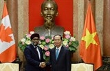 ke sam so be gai o sai gon doi dien muc an 7 nam tu