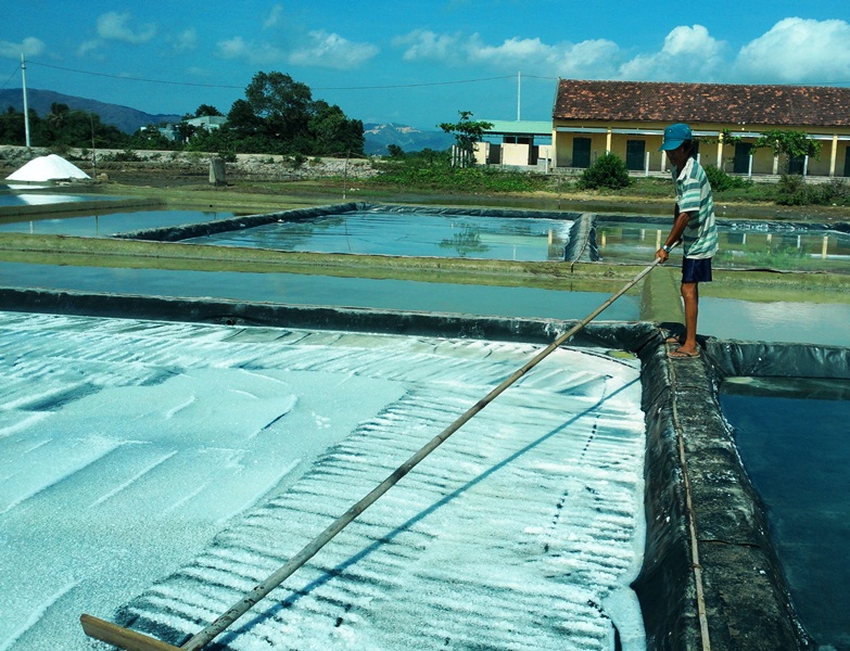 diem dan binh dinh lao dao vi gia muoi giam