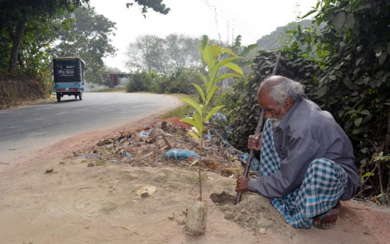 nguoi dan ong tu tay trong hon 17500 cay xanh o bangladesh