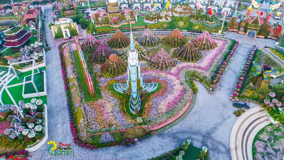 dubai miracle garden vuon hoa tu nhien lon nhat the gioi o dubai