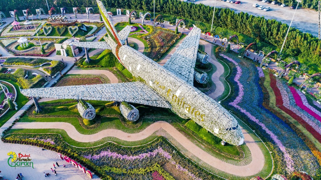 dubai miracle garden vuon hoa tu nhien lon nhat the gioi o dubai