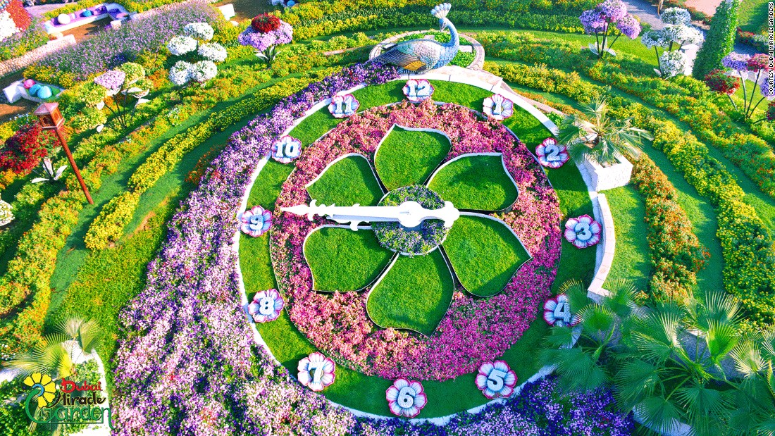 dubai miracle garden vuon hoa tu nhien lon nhat the gioi o dubai