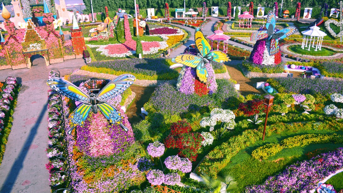 dubai miracle garden vuon hoa tu nhien lon nhat the gioi o dubai