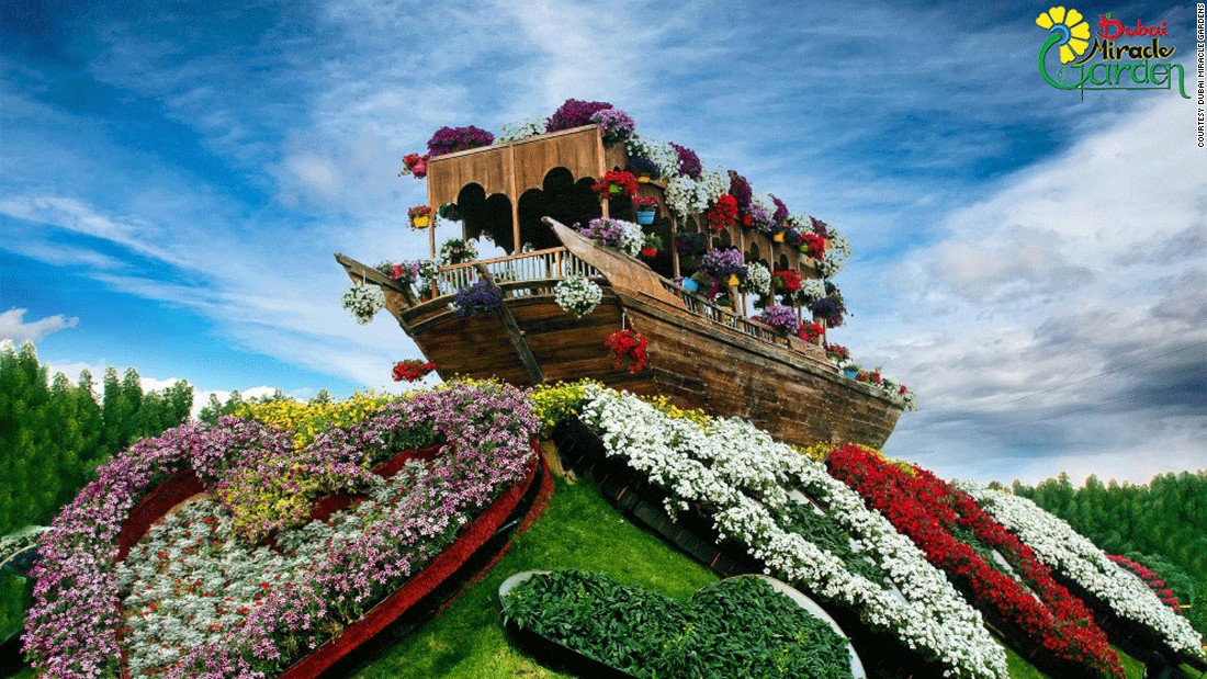 dubai miracle garden vuon hoa tu nhien lon nhat the gioi o dubai