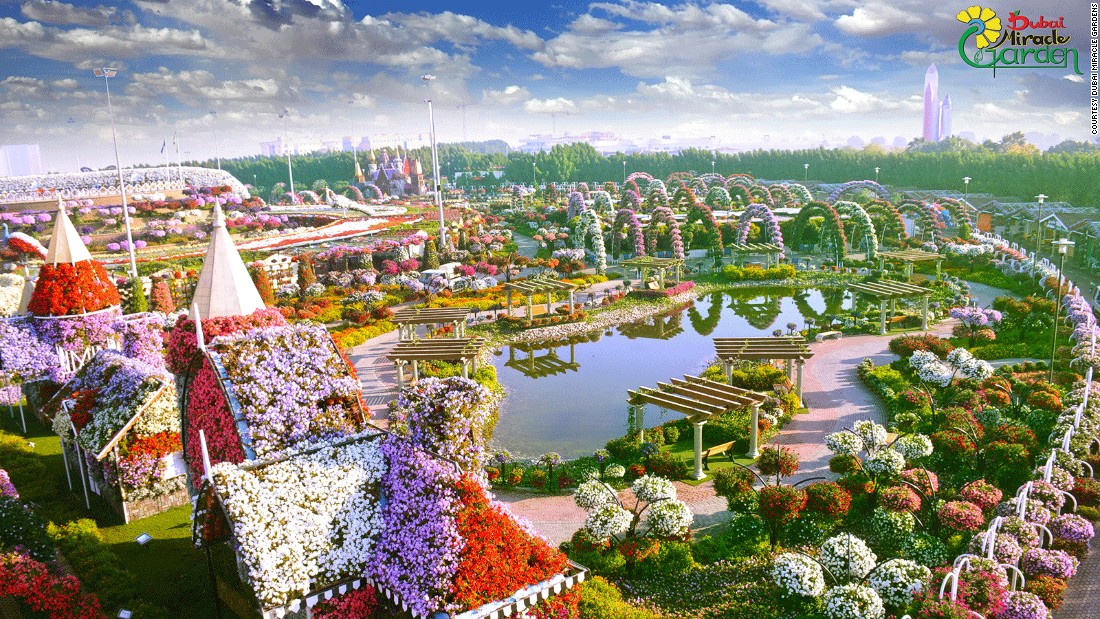 dubai miracle garden vuon hoa tu nhien lon nhat the gioi o dubai