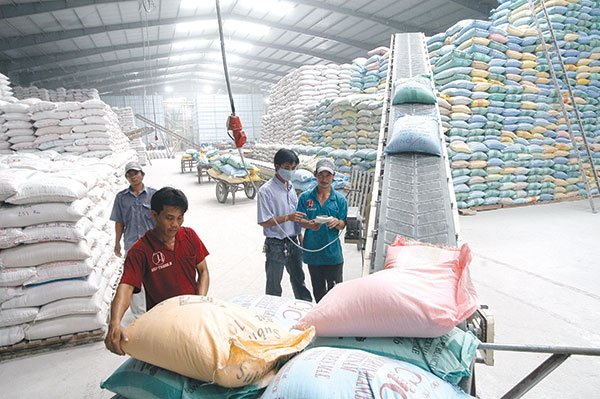 viet nam trung thau cung cap 175000 tan gao cho philippines