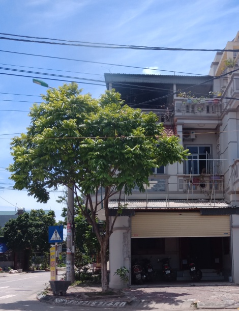 so gddt tinh vinh phuc cham kiem tra xu ly trung tam ngoai ngu ama hoat dong trai phep