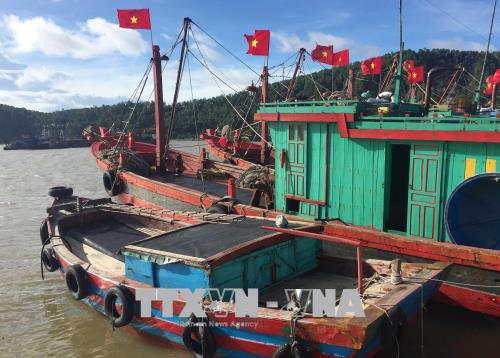 khan truong trien khai tim kiem tau ca va hang chuc ngu dan mat tich tren bien