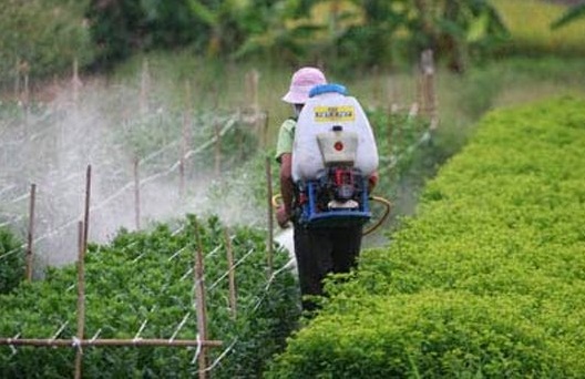 xet nghiem bao dong gan mot nua nguoi ha noi nhiem thuoc tru sau trong mau