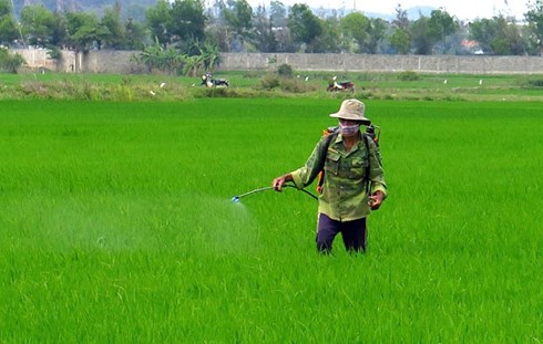 xet nghiem bao dong gan mot nua nguoi ha noi nhiem thuoc tru sau trong mau