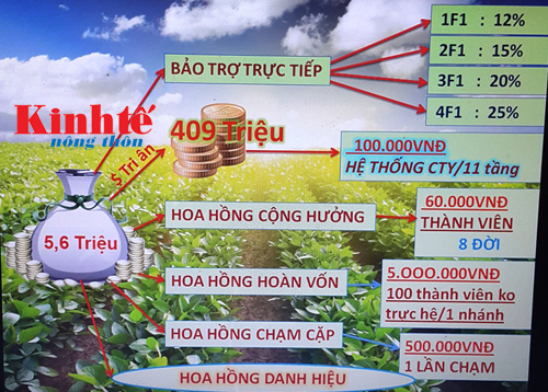 ban phan bon kieu da cap mot chieu moi lua nong dan