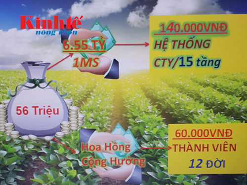ban phan bon kieu da cap mot chieu moi lua nong dan