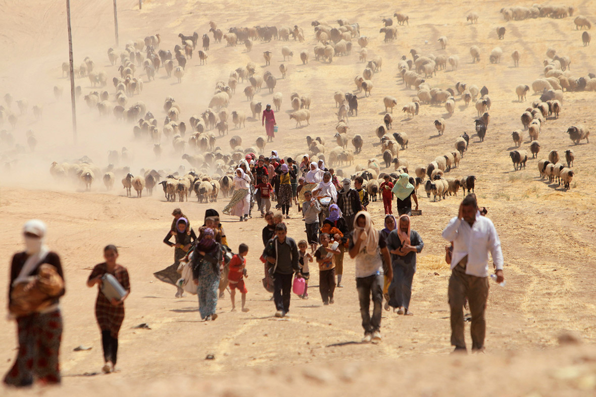 is da bat khoang 3000 thuong dan iraq